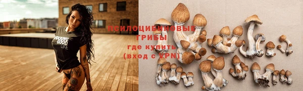 альфа пвп Верхнеуральск
