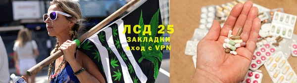 крисы Верхний Тагил