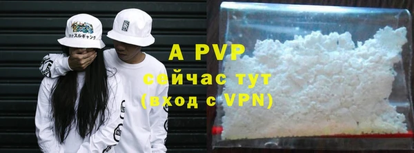 крисы Верхний Тагил
