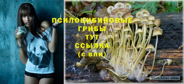 альфа пвп Верхнеуральск