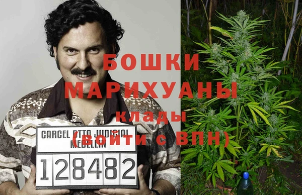 крисы Верхний Тагил