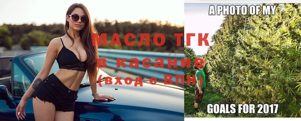 крисы Верхний Тагил